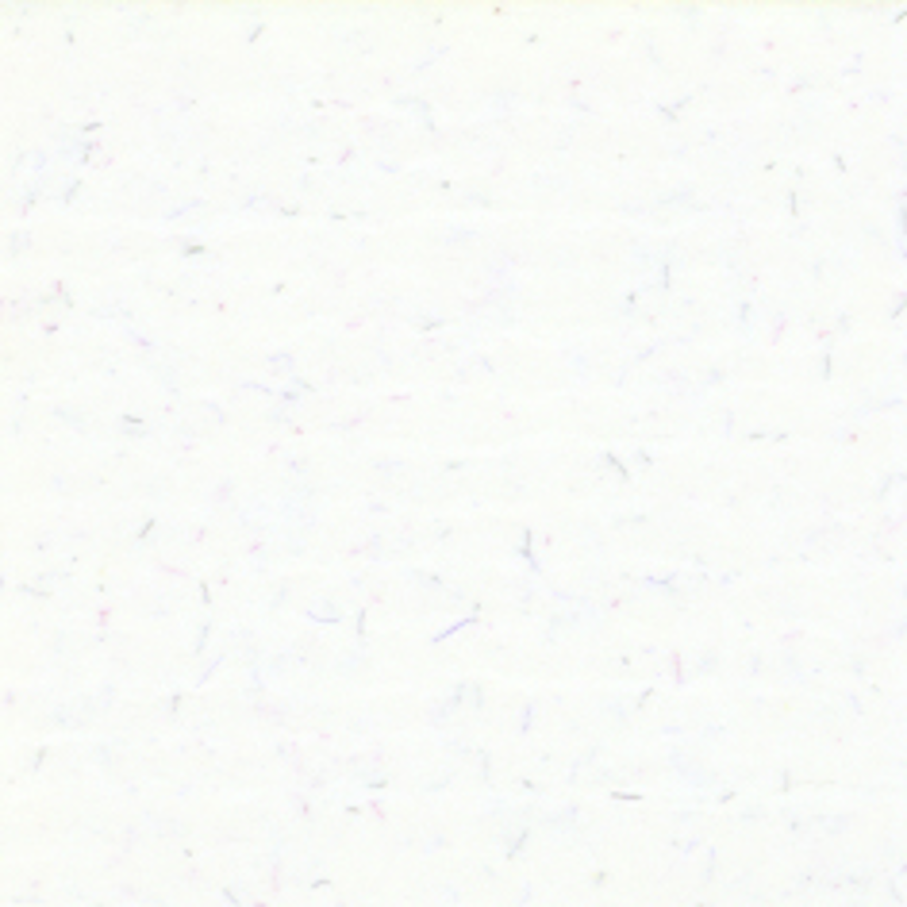 Arqadia Avillon White 32" x 40"