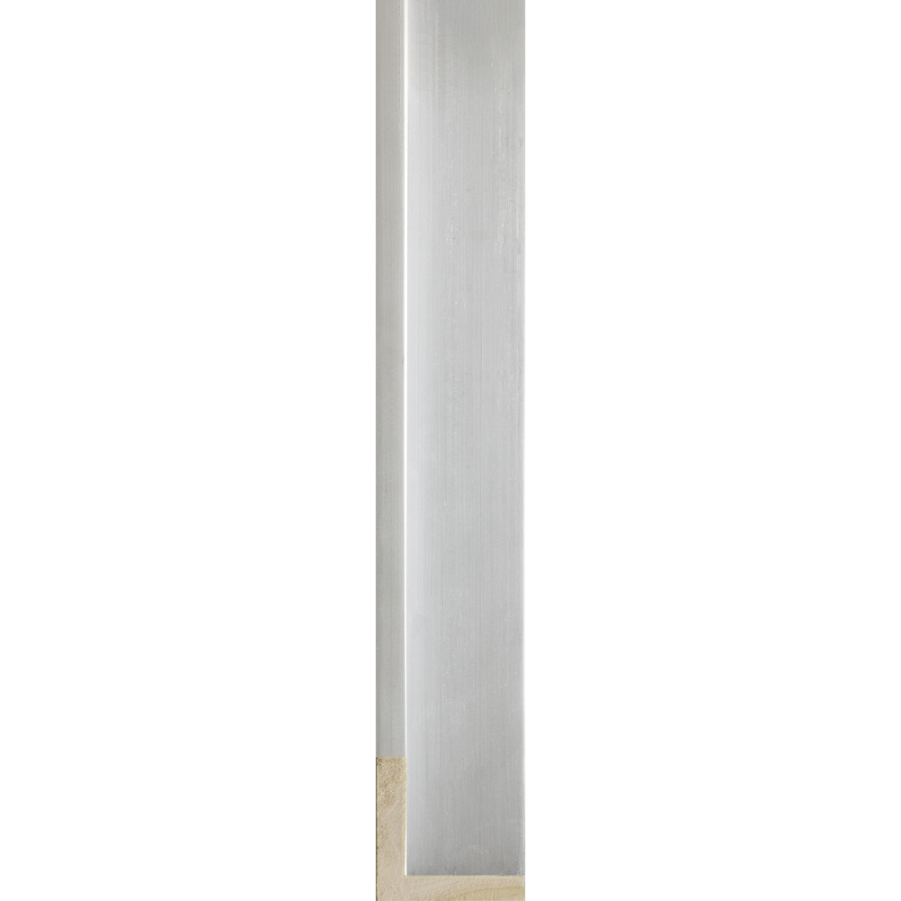 Essentials 2" Float Silver