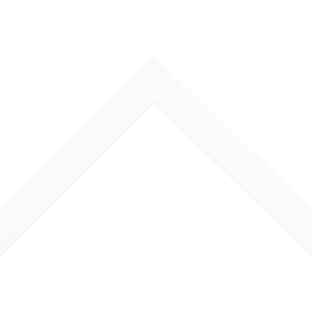Jasper II 1" Cap White
